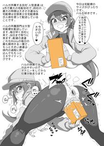 Haru Delivery Preparation - page 3