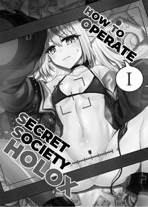H￮LOX Himitsu Kessha Keiei no Susume 01 | How to operate Secret Society H○LOX-01 - page 2